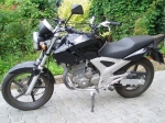 HONDA CBF 250